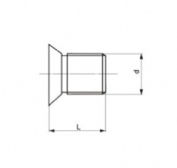 INTER TAPER SCREW